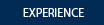 experience